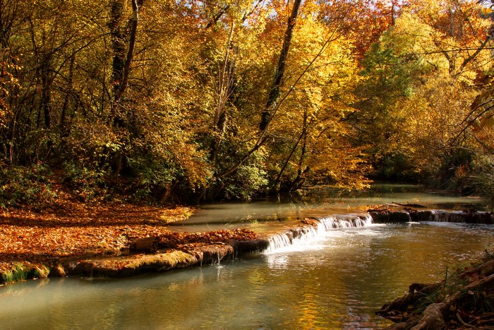 Autumn forest with a river and small waterfalls
