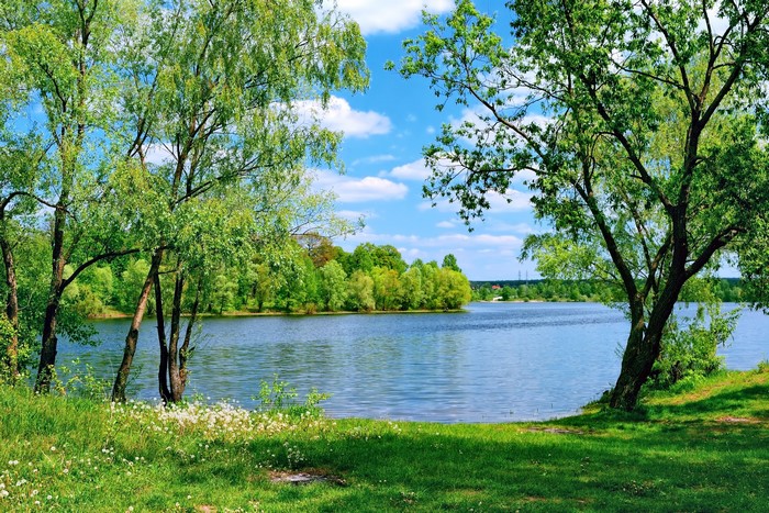 Lake surrounded by trees and green grass under a blue sky