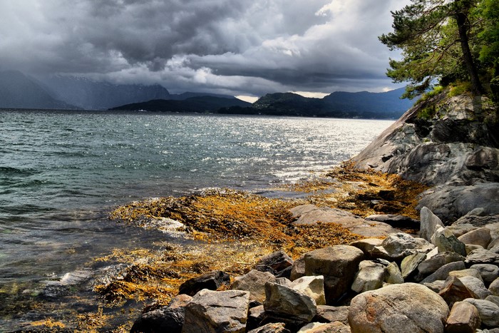 Rocky fjord coast with dramatic clouds in Norway