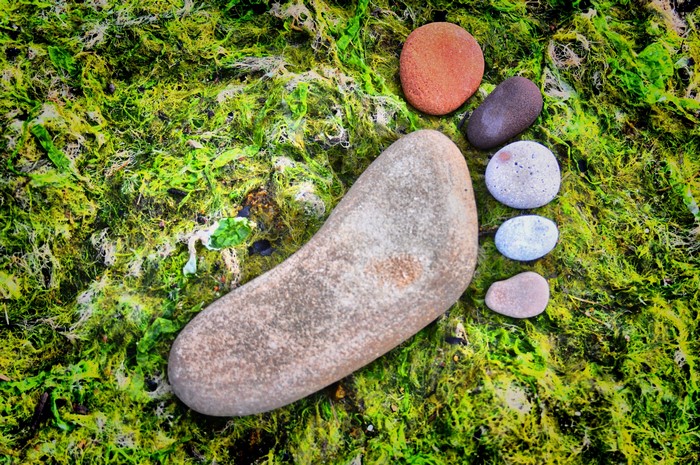 Stones arranged in a foot shape on green moss