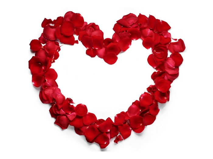 Heart shape made of red rose petals