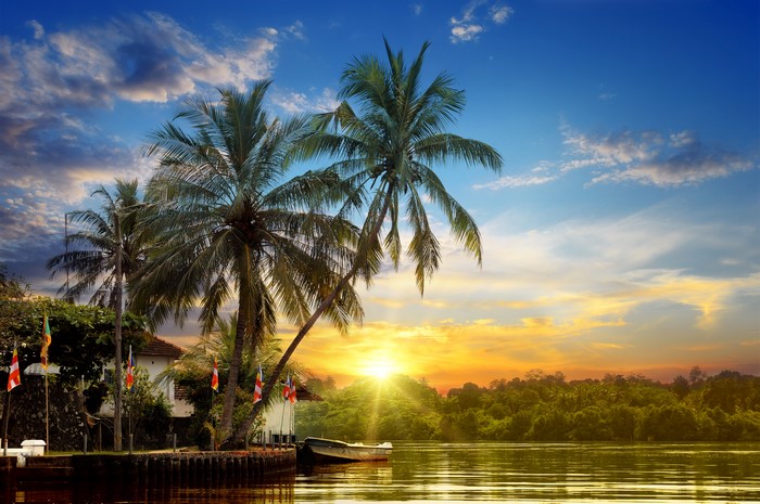 Tropical river at sunset with palm trees and flags