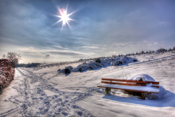 Winter landscape with bench and sun rays