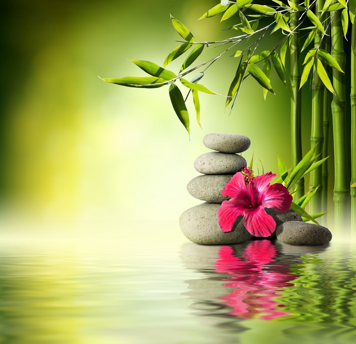 Zen stones with hibiscus and bamboo reflection