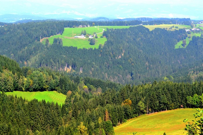 Rolling hills with forests and grasslands in Austria