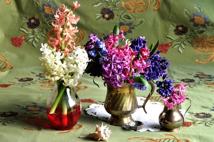 Hyacinths in vases on a patterned tablecloth