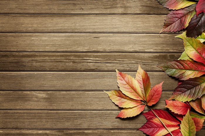 Autumn Leaves on Wooden Planks