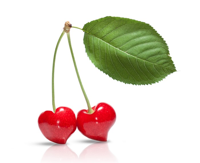 Two Heart-Shaped Cherries with a Leaf