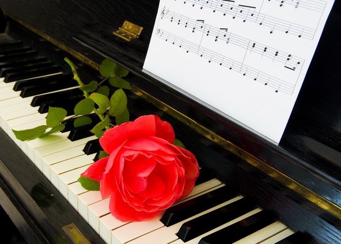 Red rose on a piano with sheet music