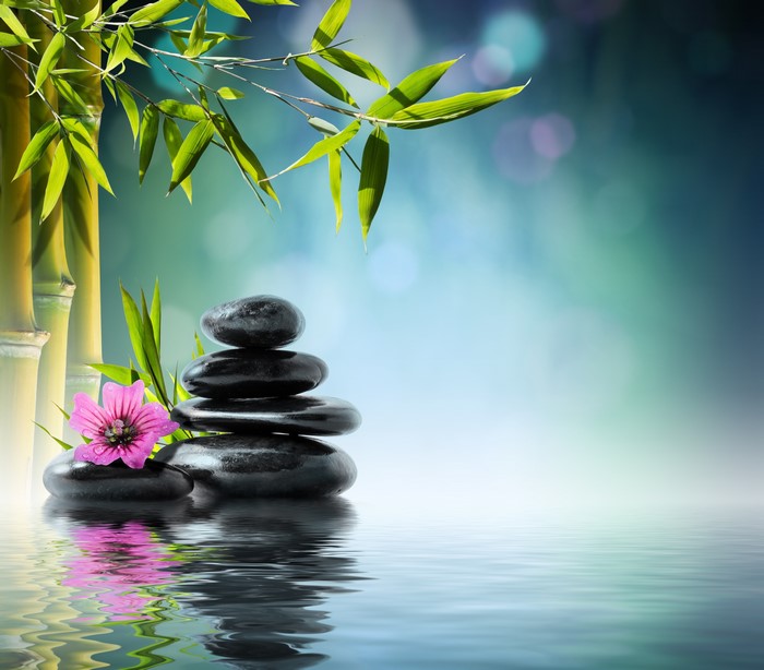 4K Zen Stones and Bamboo with Pink Flower