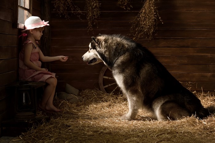 Girl feeding a dog in a barn