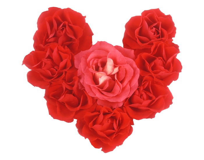 Red and pink roses arranged in a heart shape