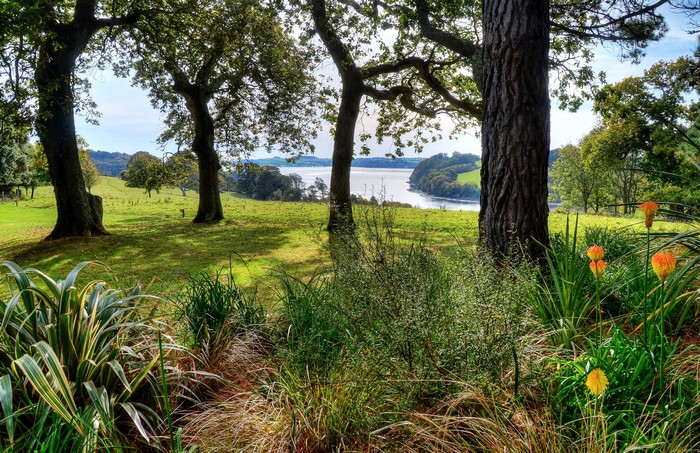 Trelissick Gardens Cornwall United Kingdom trees and water