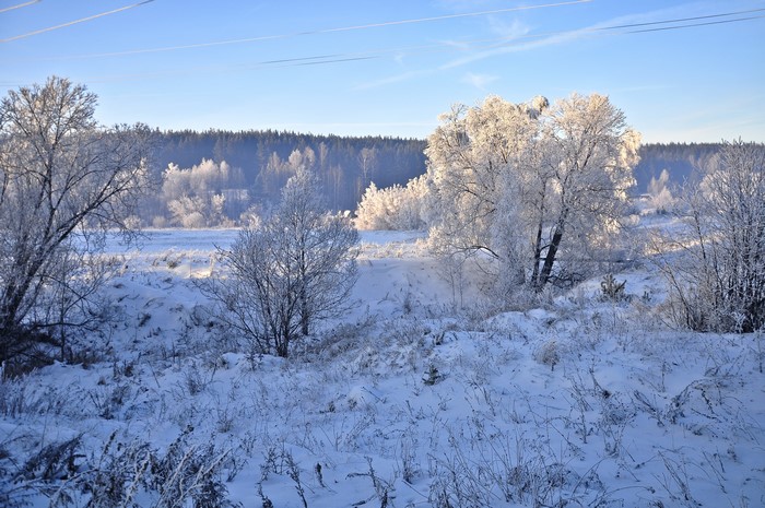 Winter landscape with snow-covered trees