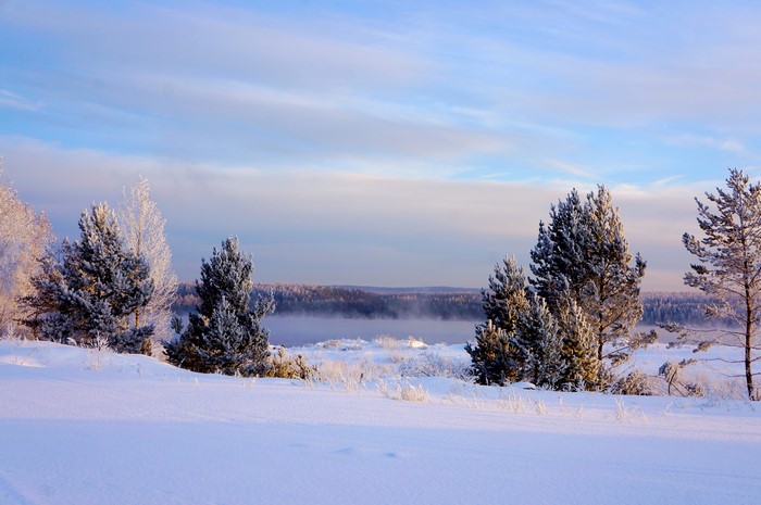 Winter landscape with snow-covered trees and sky