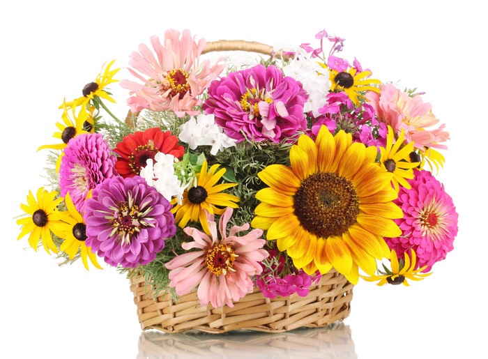 Bouquet of Zinnias and Sunflowers in a Wicker Basket