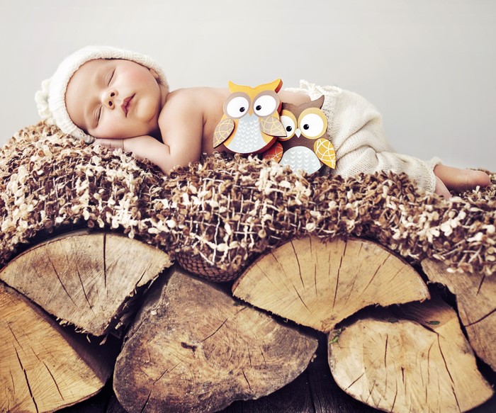 Baby Sleeping on Wood with Owl Toys