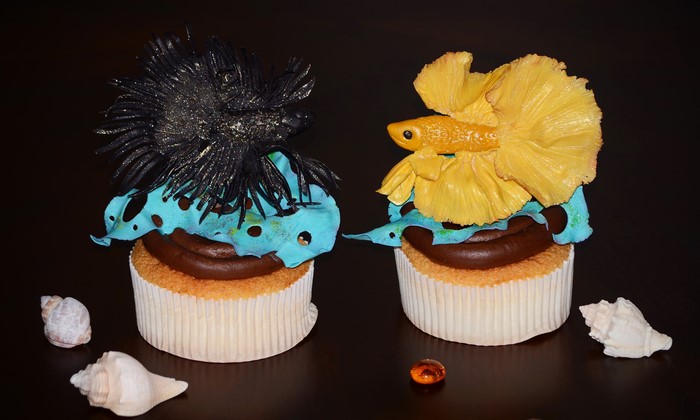Two Betta Fish Cupcakes with Seashells
