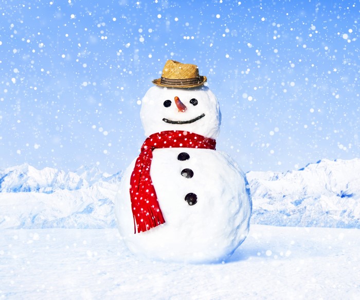 Snowman with hat and scarf in winter landscape