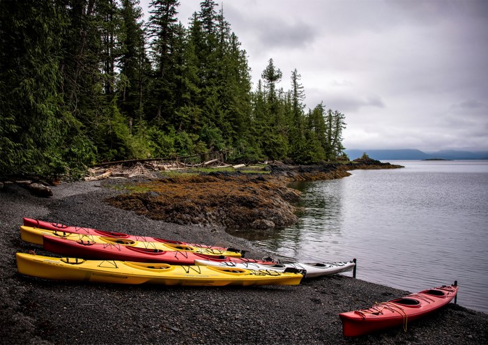 Kayaks on a rocky shore with a forest and ocean