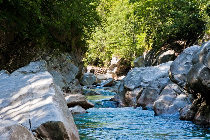 River flowing through rocky gorge with trees
