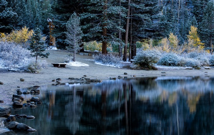 Winter scene with lake and trees