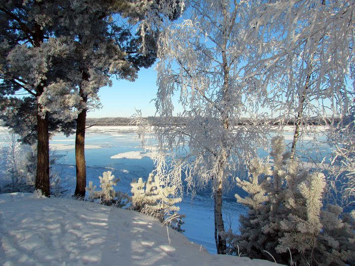 Winter scene with frosted trees and a frozen river in Russia