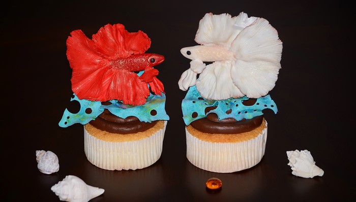 Two Betta Fish Cupcakes with Seashells