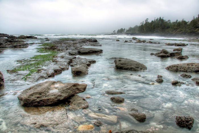 Rocky Shoreline with Ocean Waves and Forest
