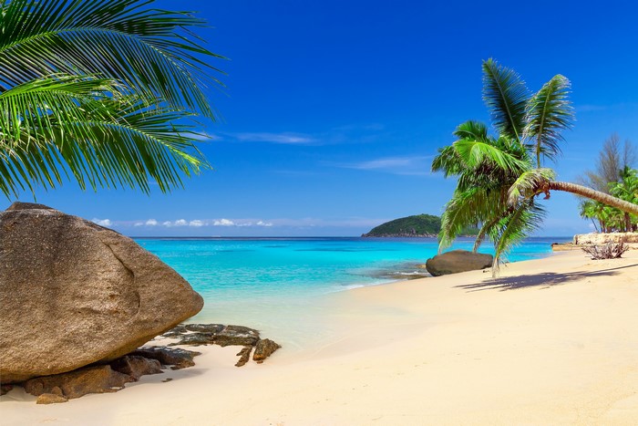 Phuket Tropical Beach with Palms and Clear Blue Sky 4K