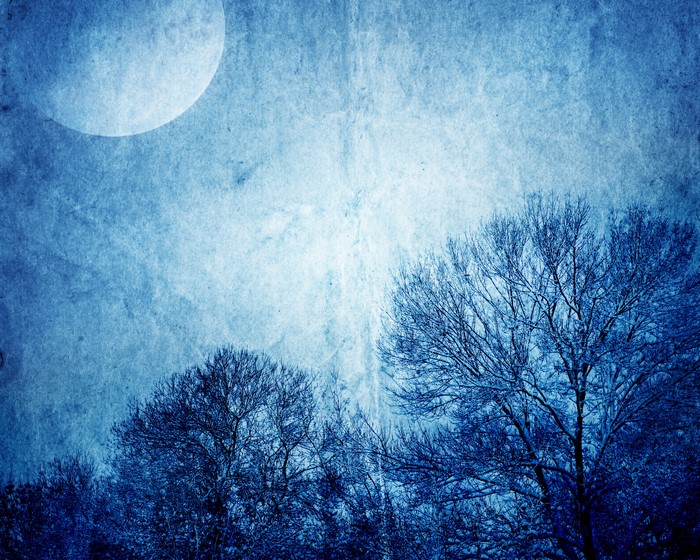 Moonlit Night Sky with Bare Tree Branches