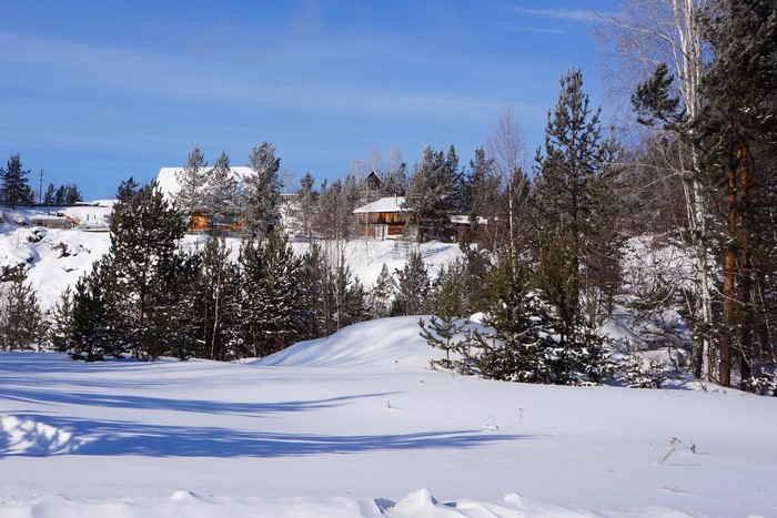 Winter landscape with snow-covered trees and houses
