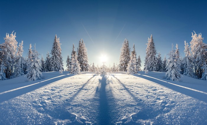 Snowy forest with sunbeams and long shadows