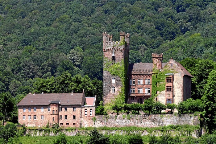 Mittelburg Castle in Neckarsteinach, Germany