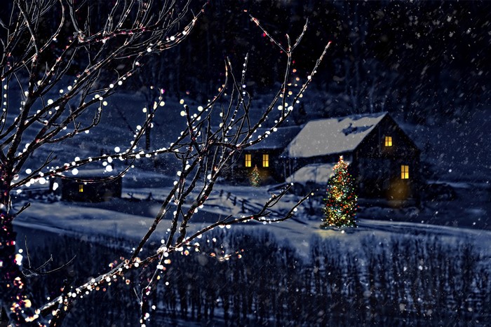 Winter night scene with decorated Christmas tree and houses
