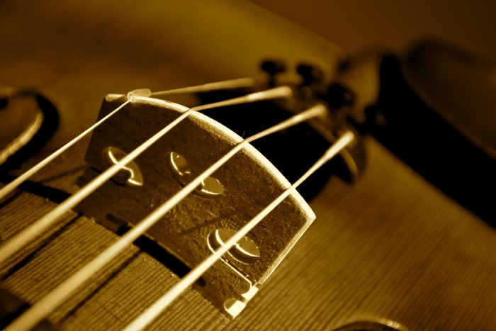 Closeup of a Violin Bridge and Strings