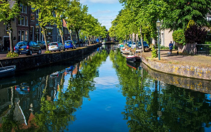 Canal in Hoorn, Netherlands with Trees and Cars
