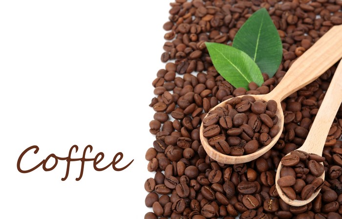 Coffee beans in wooden spoons with green leaves