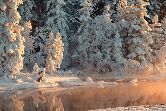 4K Winter Spruce Forest with River