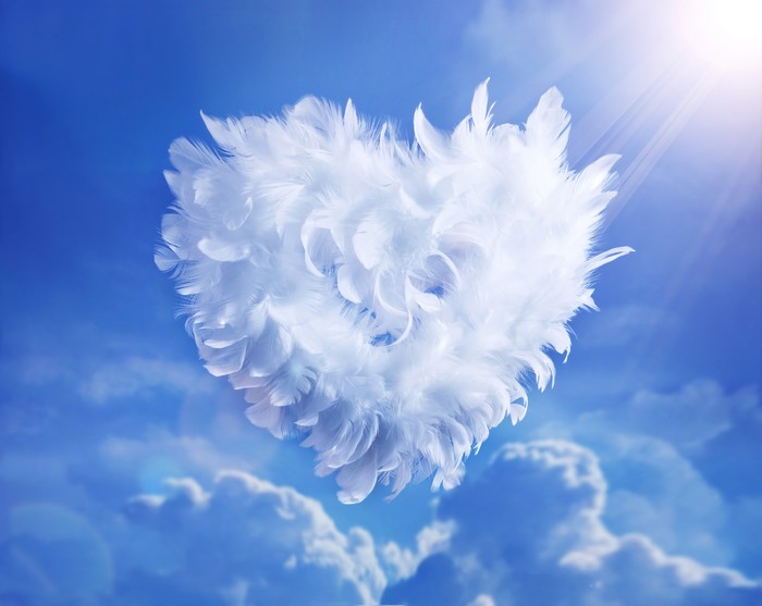Heart made of feathers in the sky