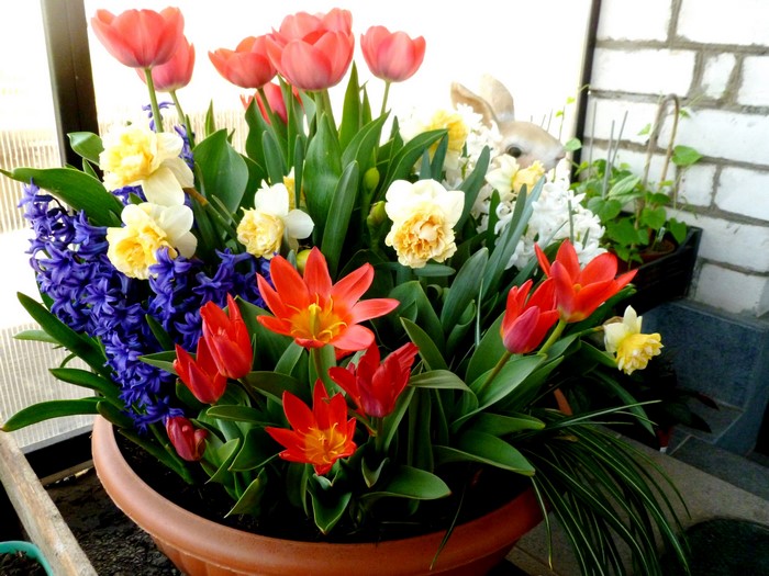 Spring flower arrangement with tulips, hyacinths, and daffodils