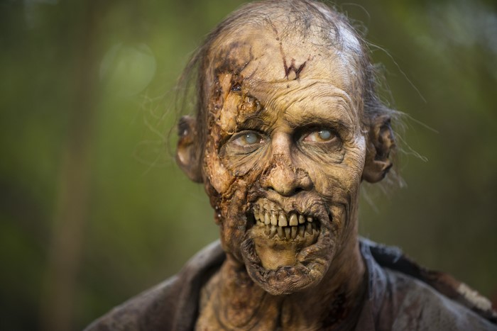 Zombie from The Walking Dead TV
