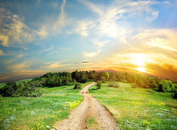 Dirt Road Through Grassy Hills at Sunset