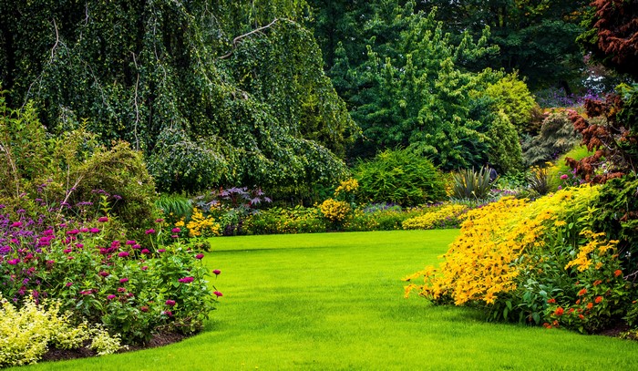 Queen Elizabeth Garden in Vancouver, Canada