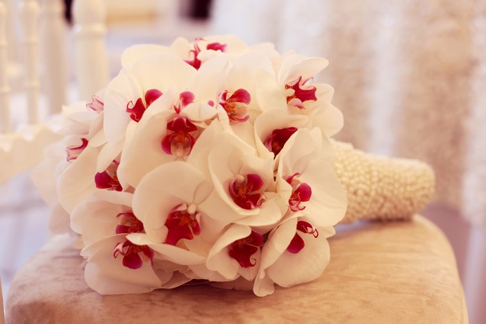White orchids with pink centers in a bouquet