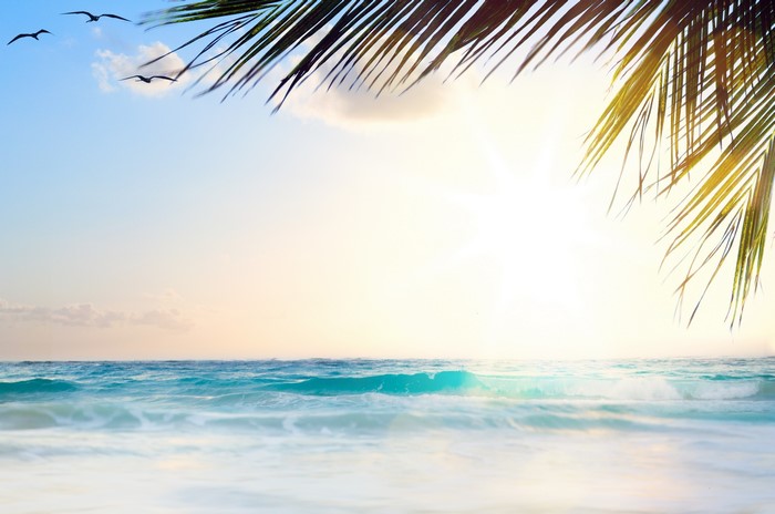 Tropical Beach with Palm Leaves and Birds
