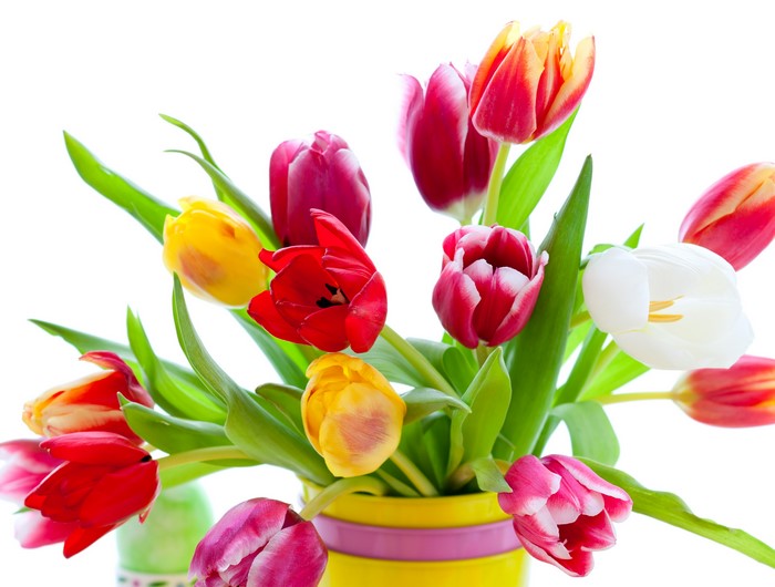 A bouquet of colorful tulips in a yellow vase