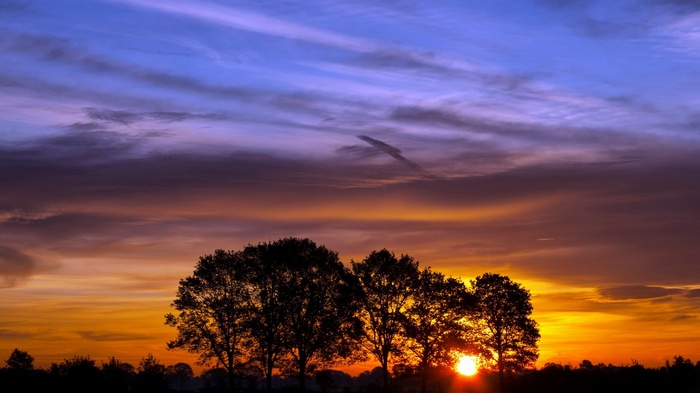 Sunset over trees with colorful sky