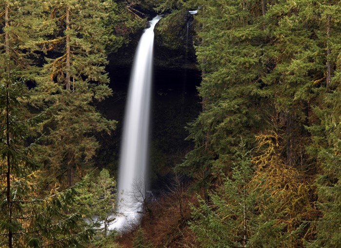 North Falls at Silver Falls State Park, USA