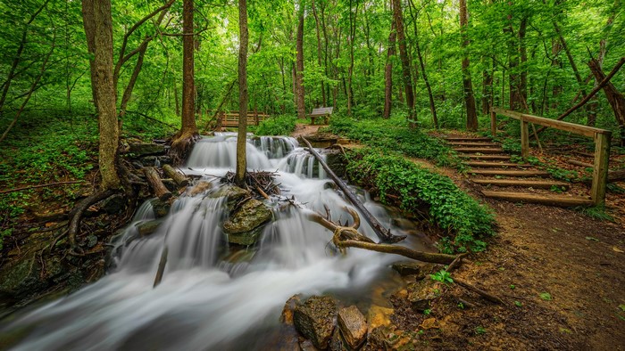 Waterfall and wooden stairs in a forest